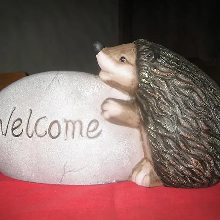 Penzion Elite Rossinière