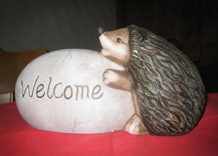 بيت ريفي Elite Rossinière