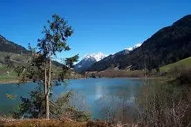 Elite Inn Rossinière